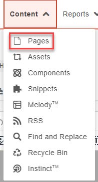 Image showing Content -> Pages