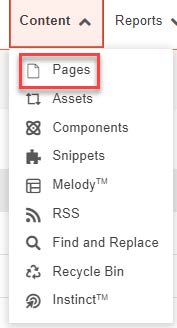 Image showing Content -> Pages