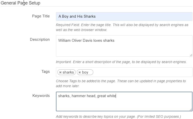 Image showing General Page setup input fields