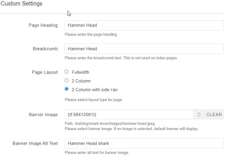 Image showing Custom Pages input fields