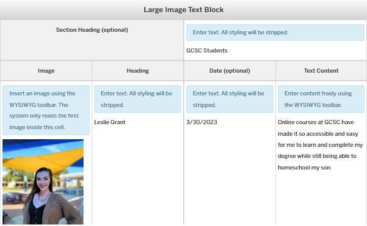 Image showing Insert Large Image Text Block